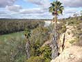 palm river paradise